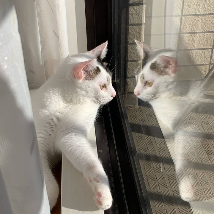 Ed20f537 def4 4b68 9566 42c99e46f1a9 1613550599278