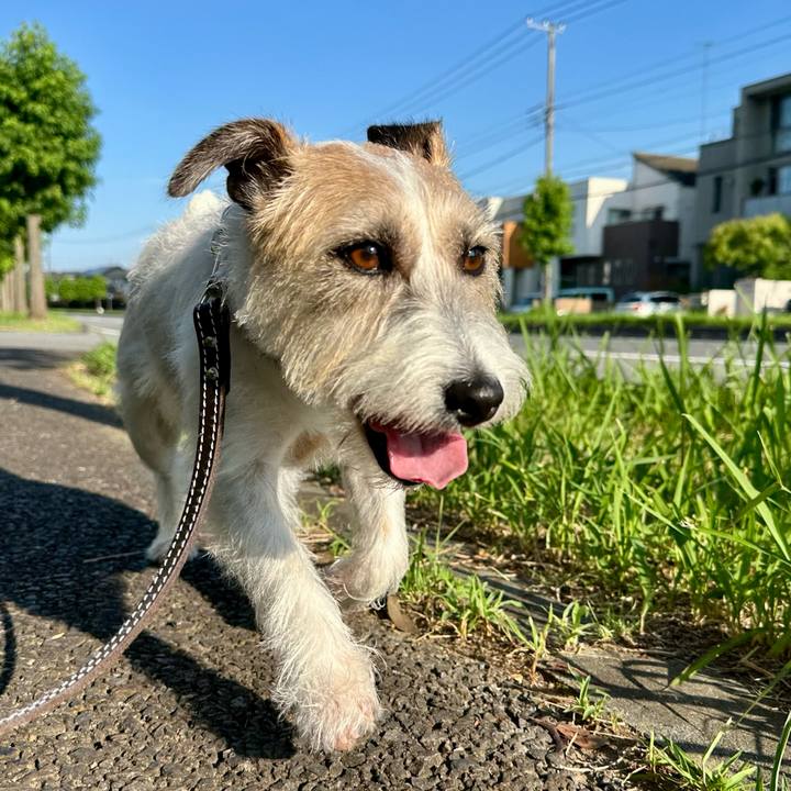 Ed21134a 0b93 4cc0 8ae0 8e7fff2e8bcb 1753187262000