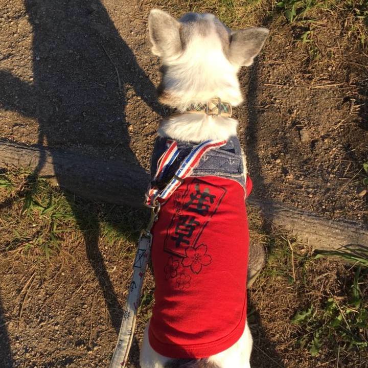 Ed211462 1e30 405a 87ad c5af4f525aff 1761693932279