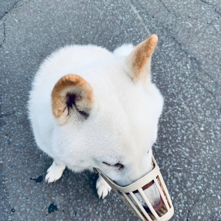 Ed213e15 05c1 490a 9215 178585fd2207 1595105896354