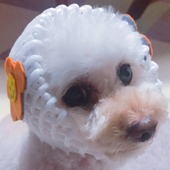 Ed2143f9 719d 4876 af4d 7b84553f770a 1531813958934