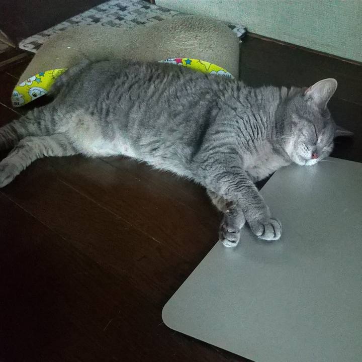 Ed21453d a5b3 4f66 b5ea 8e8bbe7d1095 1660016364384