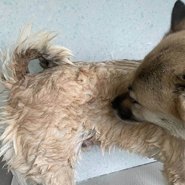 Ed216d5f 0cc9 48f7 9b86 7defad46acba 1654945183026