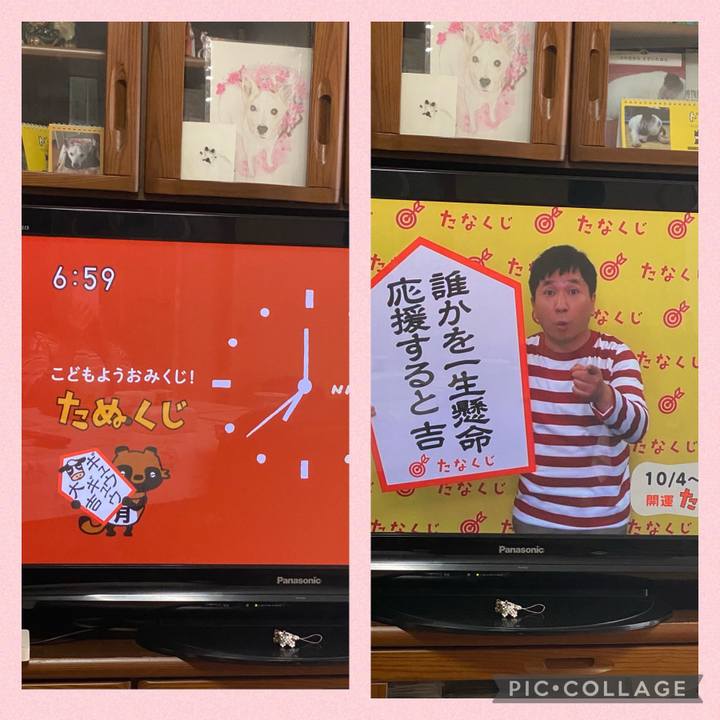 Ed21917c 98a2 4376 b24d 7ca3108aaacd 1633298853944