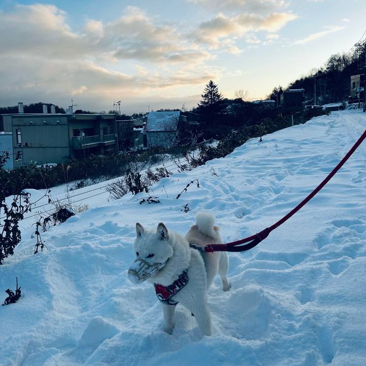 Ed2198d6 5792 49fe b1bf f32bb400a2e8 1763503543853