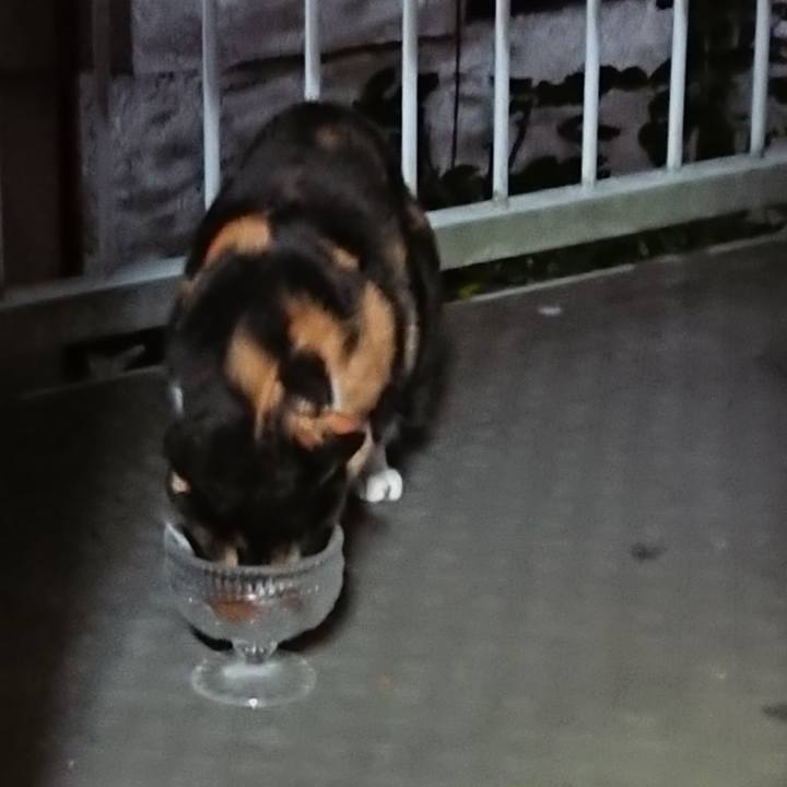 Ed21b264 db71 45b6 ade2 258d91a0e789 1636784811719