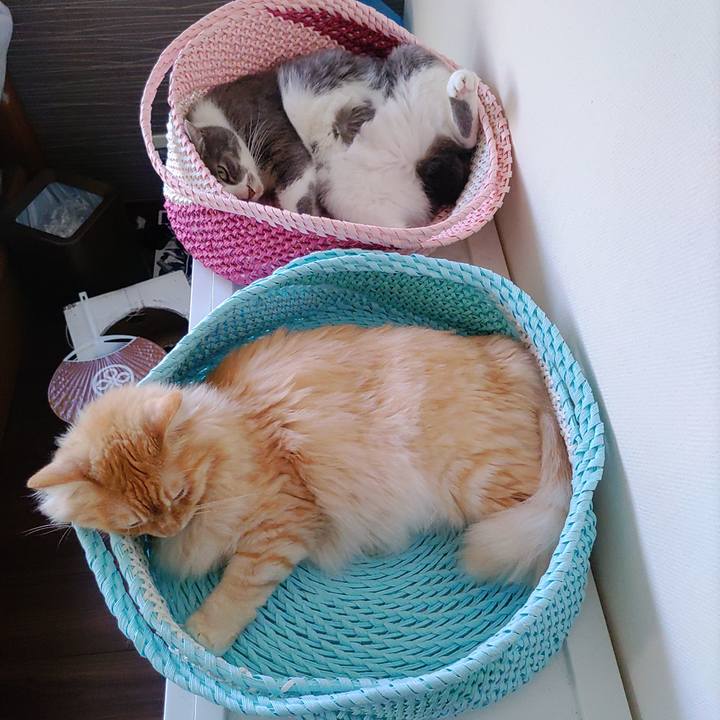 Ed21f52e 0719 4b7c 8de3 9b226bd62f95 1658543981077