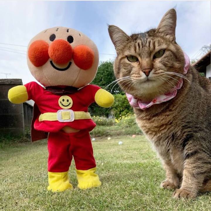 Ed2221ba bf70 46f8 8e24 e7cab5075fa1 1758670994631