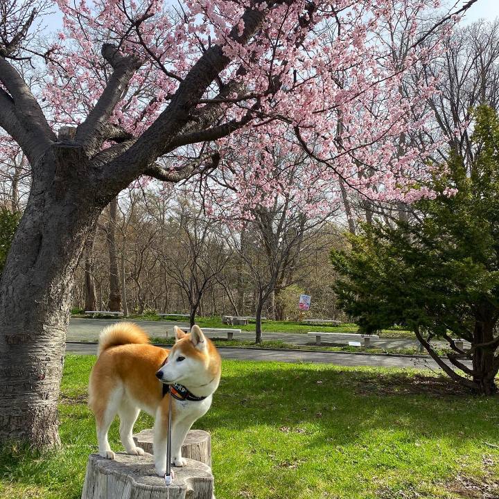 Ed224245 94cf 4dd9 8d53 4d3bb601515a 1682045471022