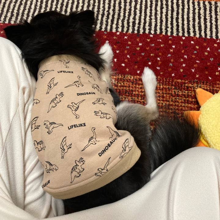 Ed224dd5 5e6f 40f6 a5aa 5c2f848be35d 1678547997956