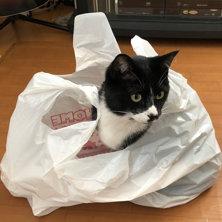 Ed227180 99ce 441f 96ca 5e8b08d1a997 1546593372883