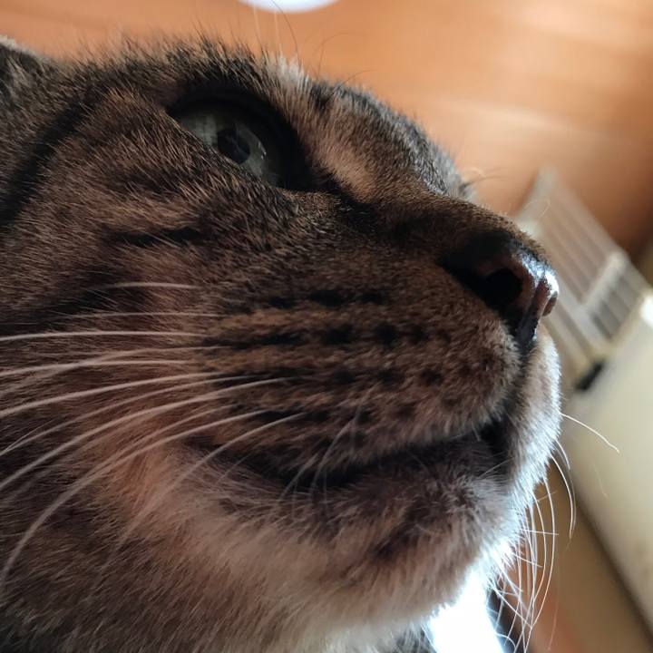 Ed22b3b1 829e 4e55 9f98 8cae6168b234 1533513446080