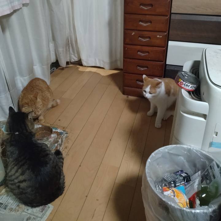 Ed22baa8 8975 40c1 b492 48567a6c9349 1763628798506