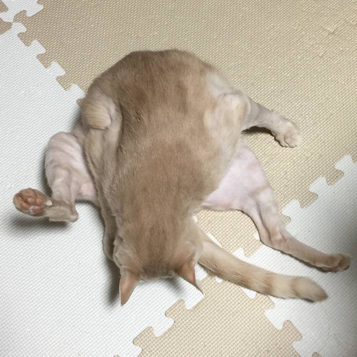 Ed22d65e bd1a 4cdd abea d281b32950d9 1641908399000