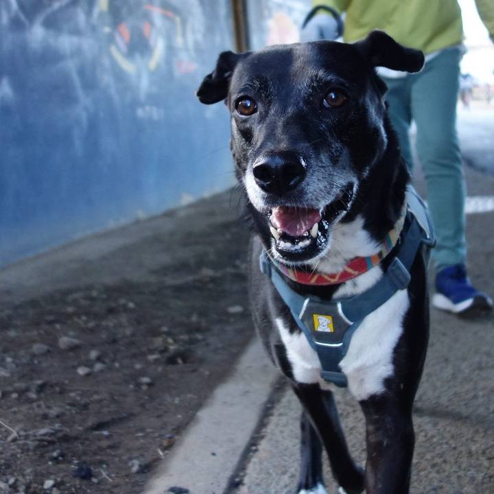 Ed22e93c 7a8f 4ad7 ac13 9cfd3e673835 1732409426038