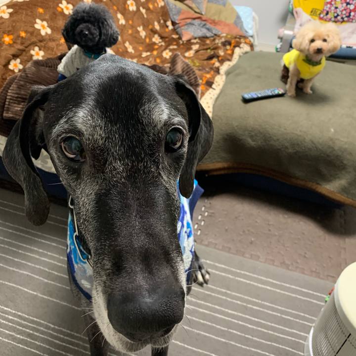 Ed23043a 66dd 4435 b4eb 53c1bc93be24 1610404818023