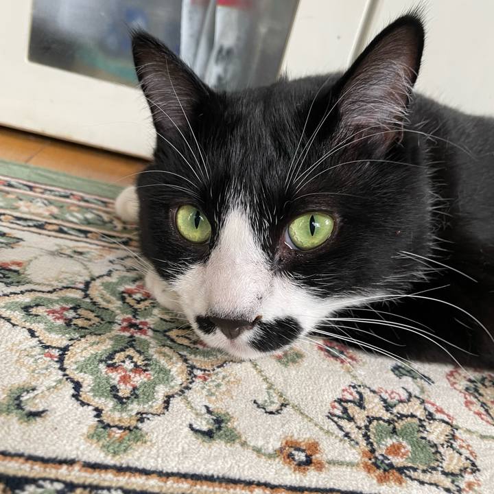 Ed231cd6 69d9 4c97 970d 7c55177190a5 1688599236812