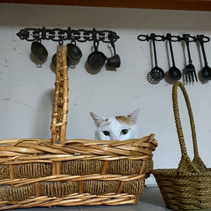 Ed231d65 2ed9 4341 9634 14fa85077085 1605015987619