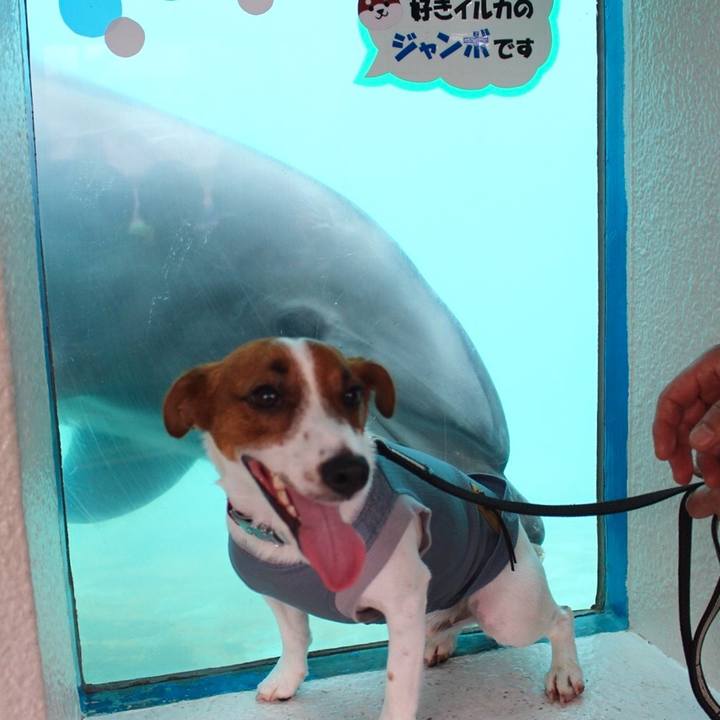 Ed23798a 6a48 4d59 bad4 5b7ef33aa31c 1529843699061