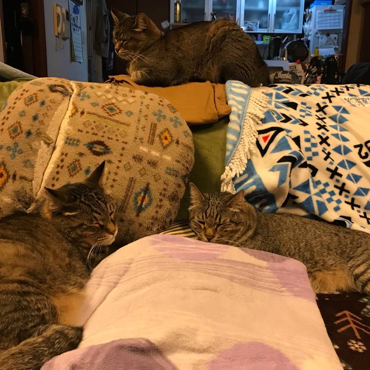 Ed23bc66 9316 4184 bf13 87e9e7be1208 1559739966792