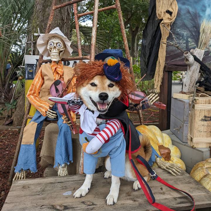 Ed23f2c1 cb61 4805 a8c9 12402206608b 1698323561097