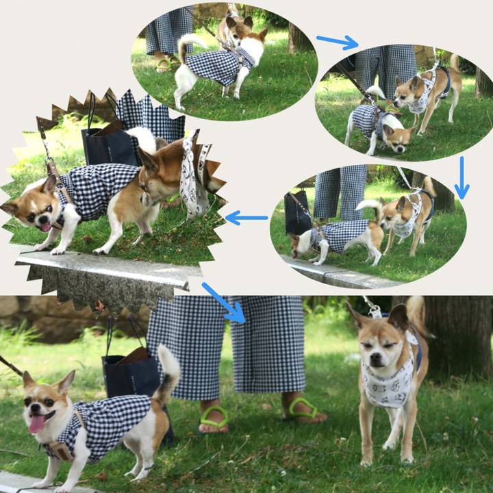 Ed2409b4 7d42 449b 8ba3 b41f3139cc94 1660724384687