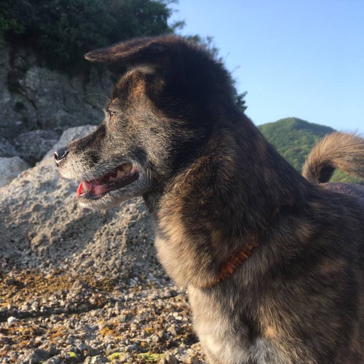 Ed240c88 7407 4a81 99a2 b9f0d5f6488f 1558535142515