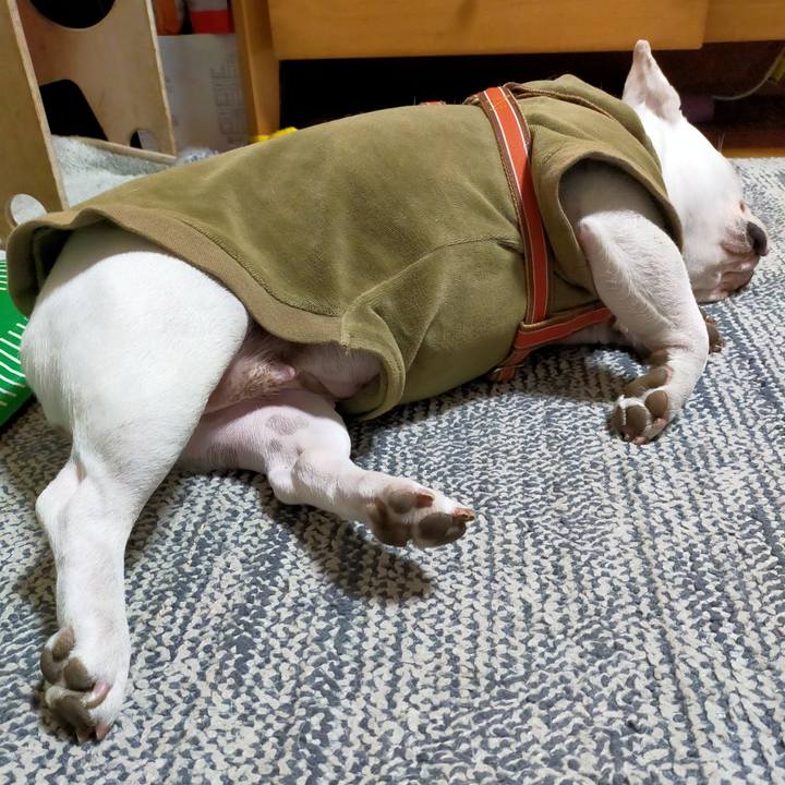 Ed241cb3 1abd 4124 9e30 2d64f3ca3abd 1643012853625