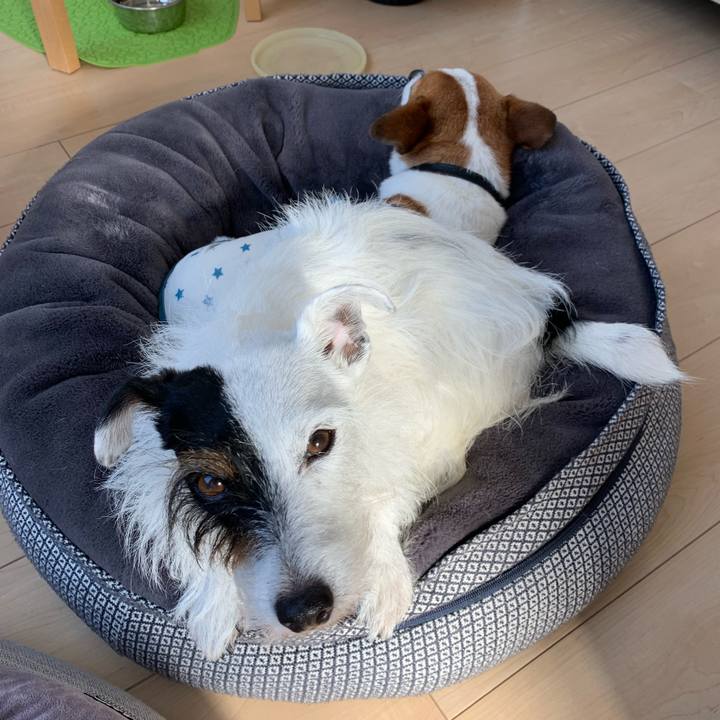 Ed241e64 9190 4ea9 b947 a220b452bcd2 1632706277058