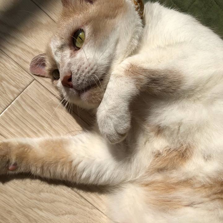 Ed241fd0 446f 407d a00d 179addfb6281 1591505319983