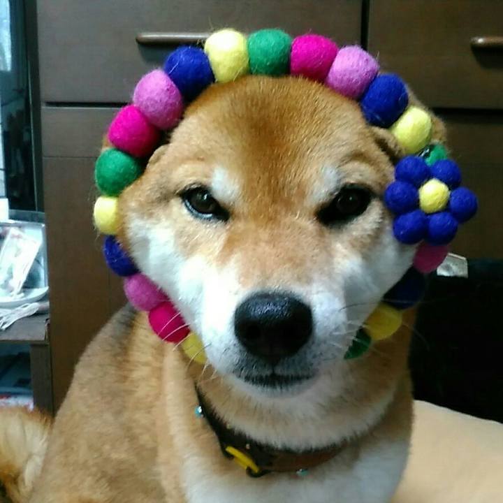 Ed242294 01ae 4d23 93a9 6be2e2cbf213 1557104054281