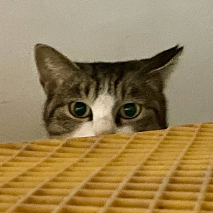 Ed2426e5 f384 4ab2 87eb 02f8d54e8833 1765934109699