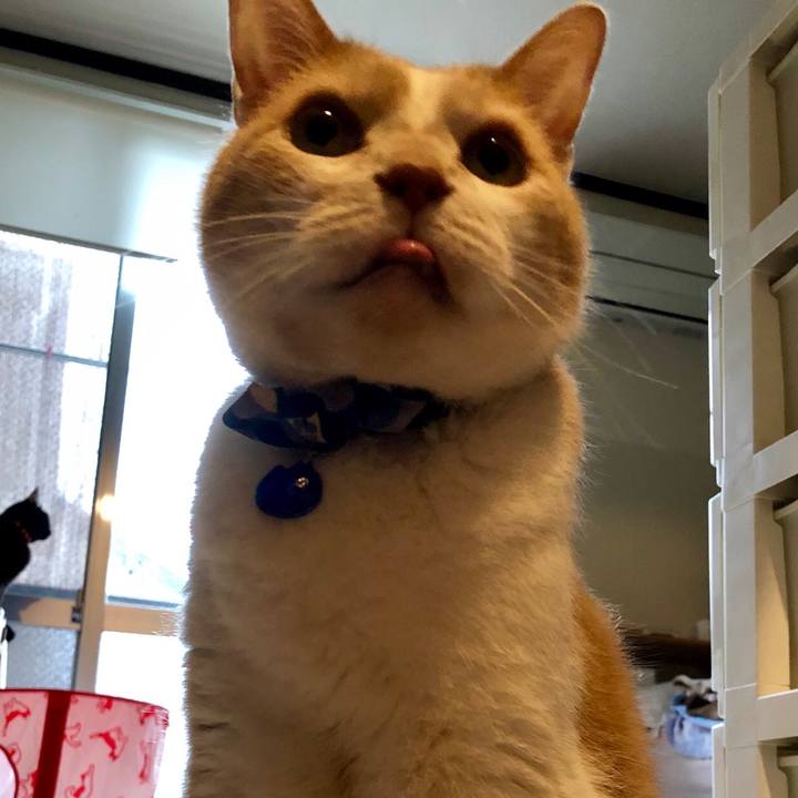 Ed245ddb f9b9 40f2 87fd 66a659d30d9d 1541718527085