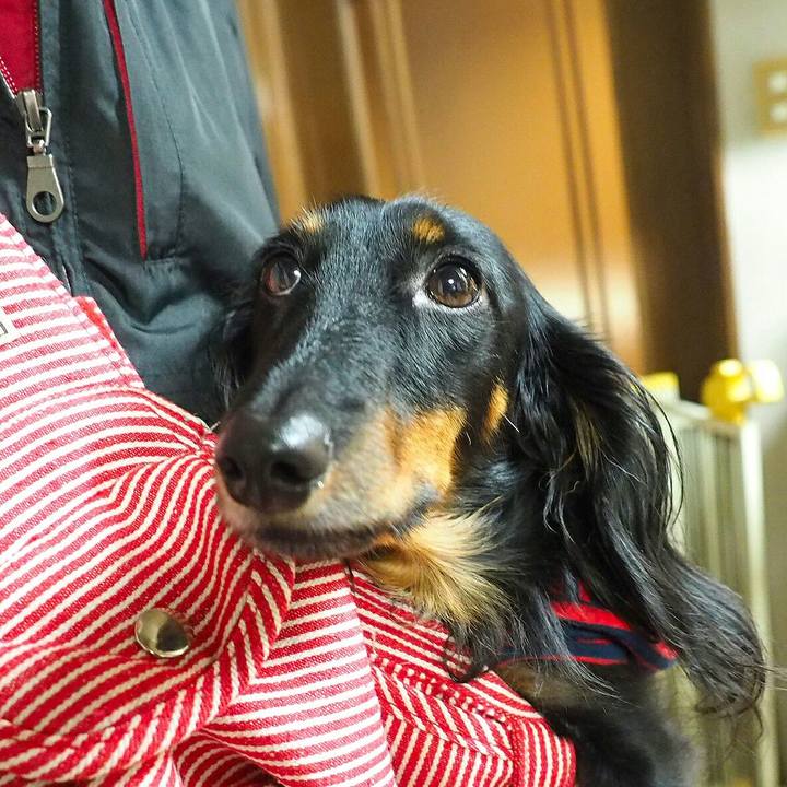 Ed246630 d51b 4fe2 b0e2 1811cef92ba9 1508640916481