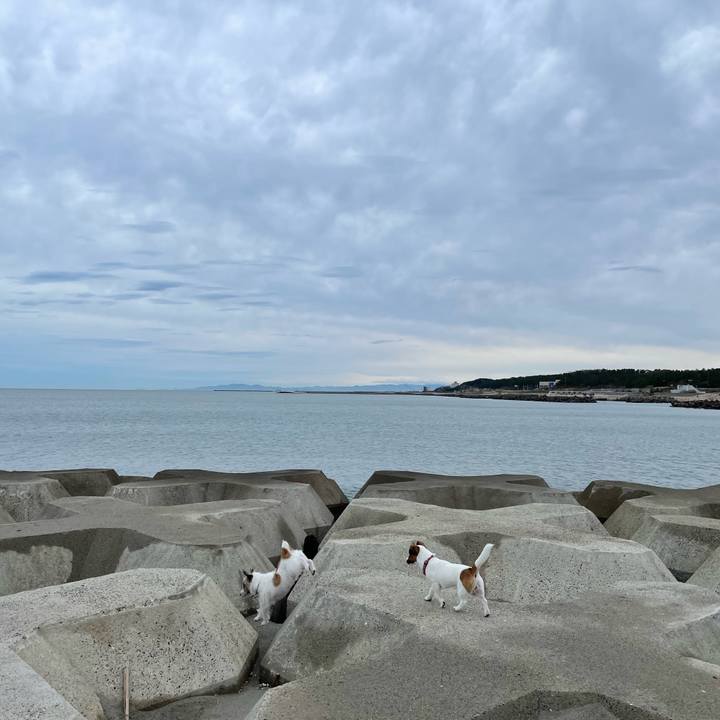 Ed246916 645e 4b65 8aa2 b06f39259a6f 1637538927754