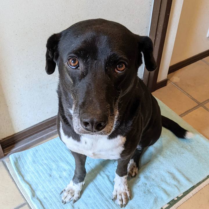 Ed248424 e41d 4098 8361 3880836caa62 1668078350865