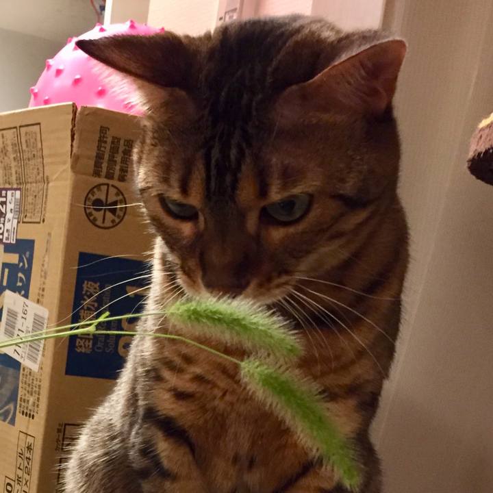 Ed248b6e 0b31 4092 9925 61a35d0d6099 1536270268842