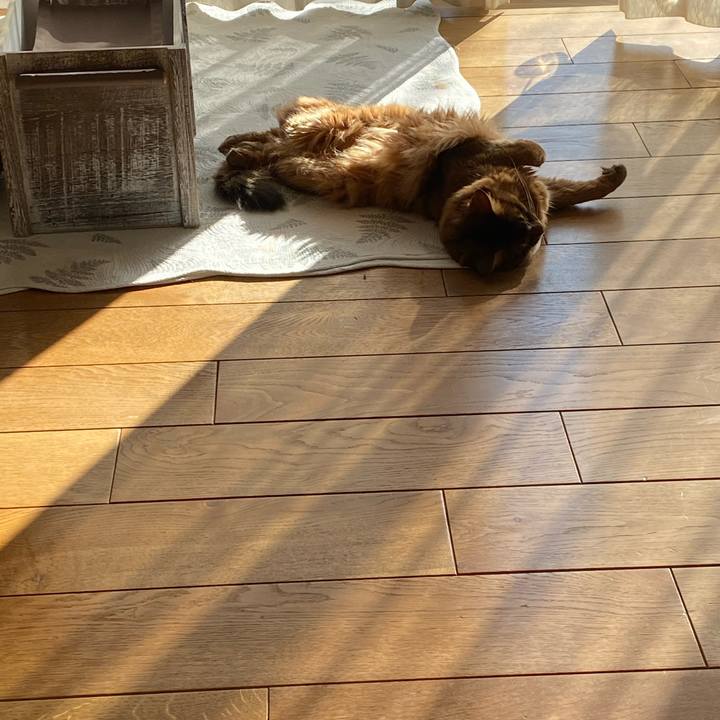 Ed249ef9 5941 424e be6a 5485b2c9db7d 1639053597204