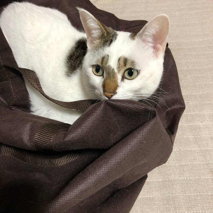 Ed24a1c7 790c 433b 8c19 f39831b23325 1518019335884