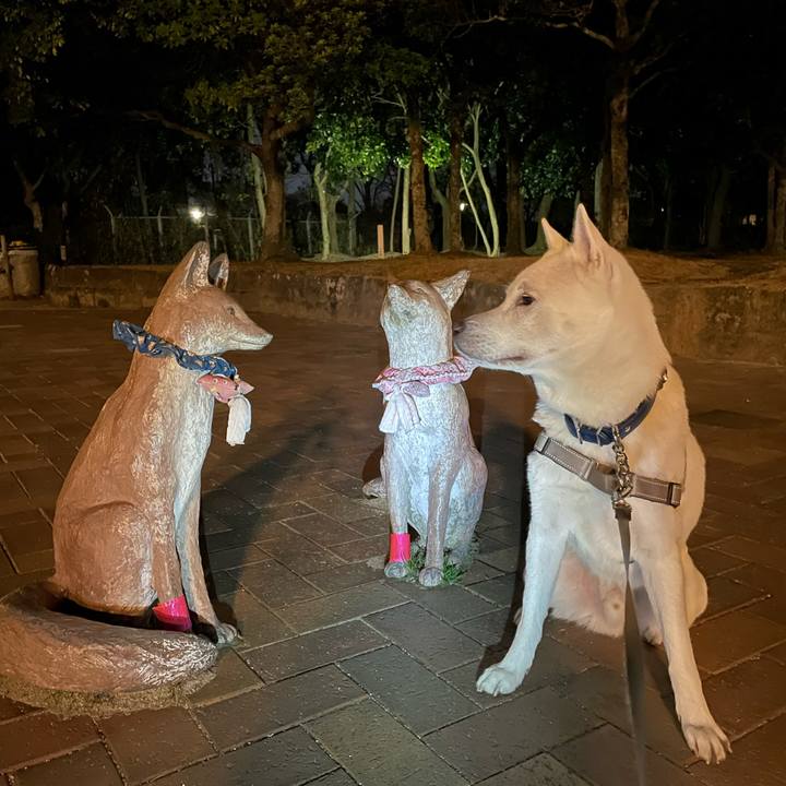 Ed24d46d f66f 4ac8 946f 80fa1f74d6e3 1639832446216