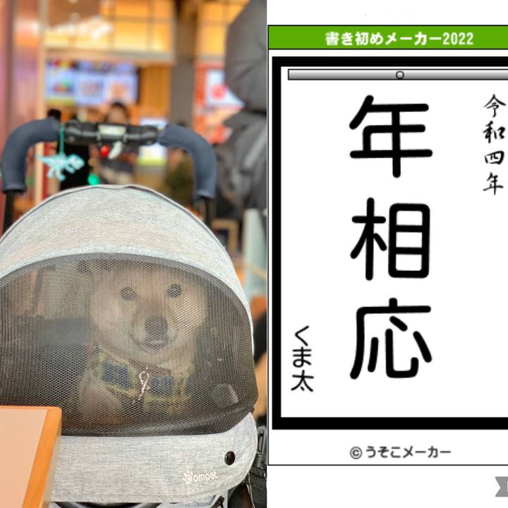 Ed250421 6875 4cbc 9177 bbe0434b2f4a 1641193785098