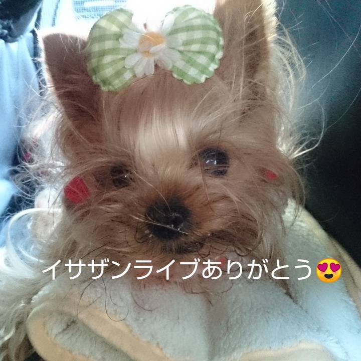 Ed2504c1 c0f0 4274 8afe b8804c01dc3b 1562508621061