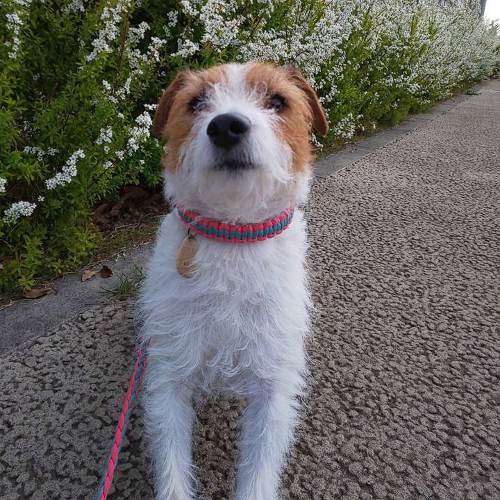 Ed250686 77c0 46f4 aef6 f085adf07e12 1616113115687