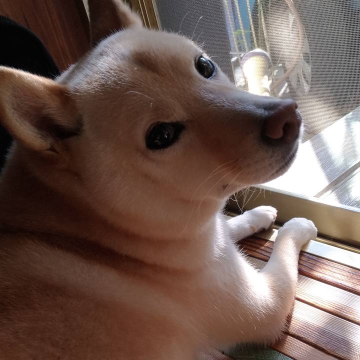 Ed251310 aa7e 4067 8c1a 3e7ca3915cab 1601422418126