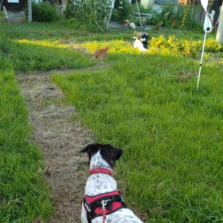 Ed251f32 d379 486c bbe9 40e6f4eec3d1 1690539801558