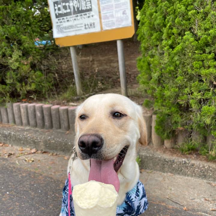 Ed25400d fd60 4845 bdb9 95716ab10b1a 1653720887521