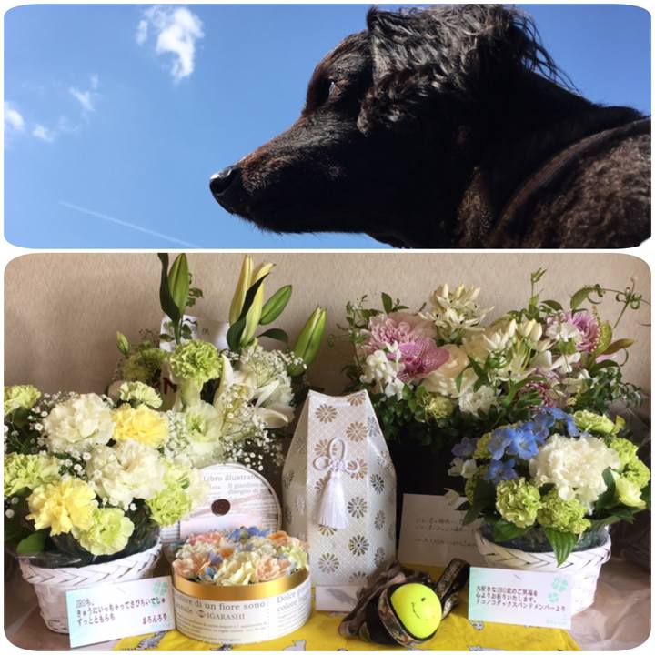 Ed256242 856b 4ee2 a4d2 472efcdc1ec7 1558097897440