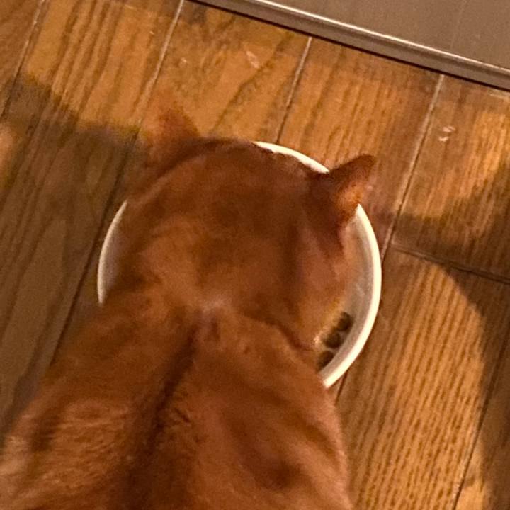 Ed25666b 42d0 404c a2f6 254552b50986 1610924774847