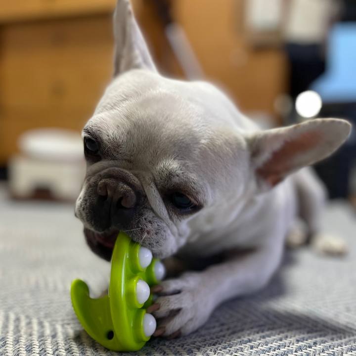 Ed25a747 bf80 4b53 95c6 dc0cc0e87465 1748041236313