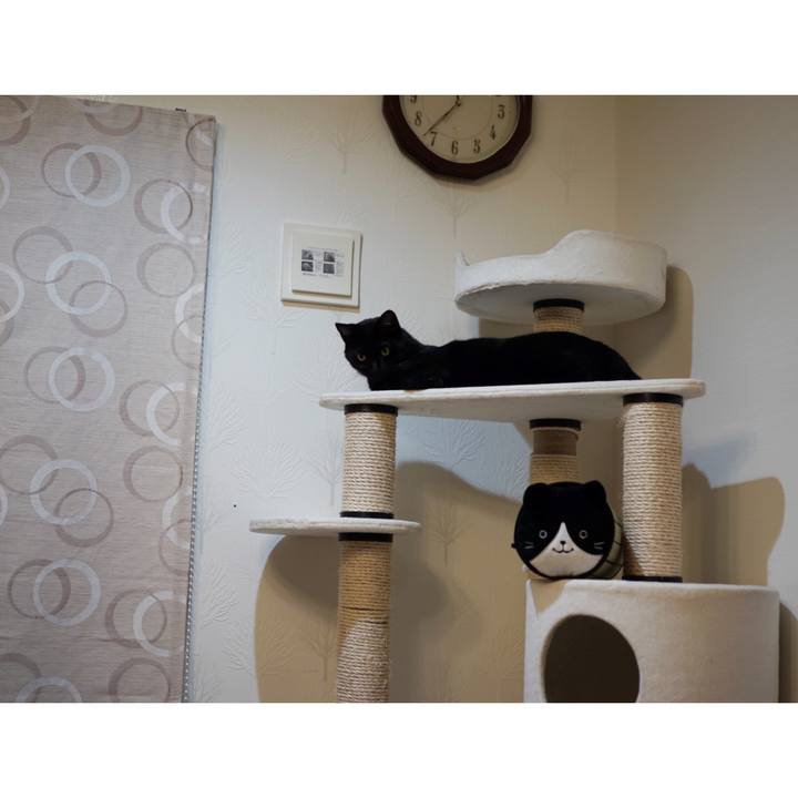 Ed25e707 b76f 4748 a208 fa629fbd9a80 1558049652419